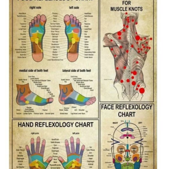 Massage Therapy Knowledge Foot Reflexology Chart Trigger Point Poster - Picture 1 of 2